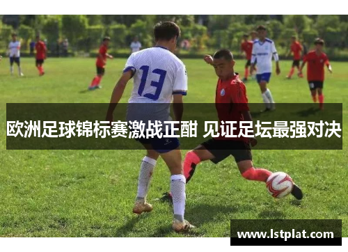 欧洲足球锦标赛激战正酣 见证足坛最强对决